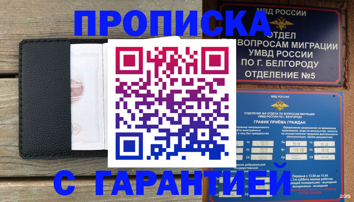 временная регистрация для всех в Заполярном